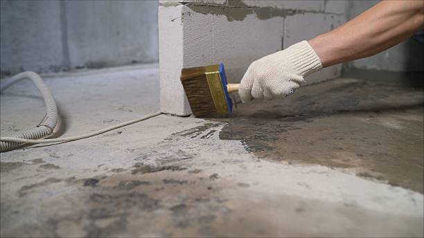 24/7 Emergency Crawl Space Encapsulation experts in Leon, VA